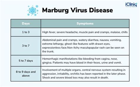 What Is Marburg Virus Disease?