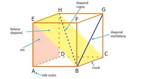 Soal dan Kunci Jawaban Matematika Kelas 5 SD Halaman 135, Bab 4 Bangun ...