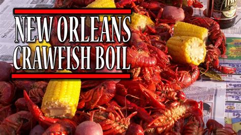 THE BEST CRAWFISH BOIL IN LOUISIANA AT 3 LEGGED DOG NEW ORLEANS - YouTube