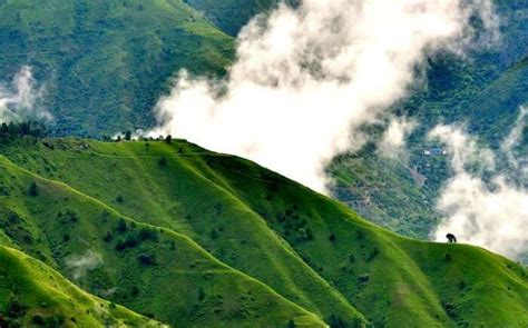 10 Updated Places To Visit In Chail (With Photos) In 2023 With Your Folks