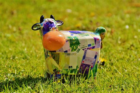 Free Images : grass, lawn, meadow, flower, green, cow, ceramic, money, mammal, yellow ...