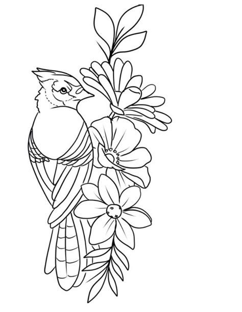 Cardinal bird coloring page printable coloring page - Coloringus