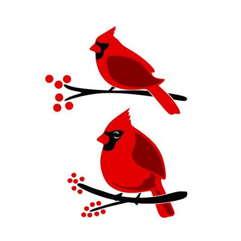 Cardinal Bird Cuttable Design | Apex Designs & Fonts