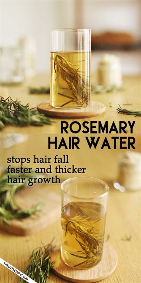 Rosemary Hair water to regrow thinning hair – The Little Shine