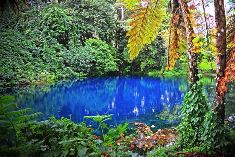 Matevulu blue hole Vanuatu is just the beginning - Family Travel