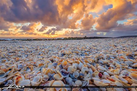 Coral Cove Park Shells Jupiter Island Beach Sunrise | HDR Photography by Captain Kimo