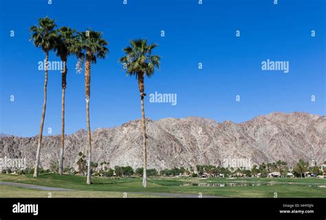 Pga West golf course in La Quinta, Palm Springs, California, usa Stock ...