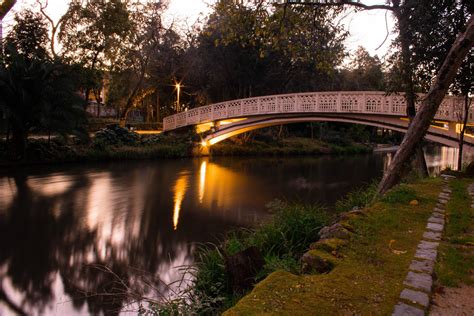 ITAP of a bridge on a lake#PHOTO #CAPTURE #NATURE #INCREDIBLE | Lake photos, Photography ...