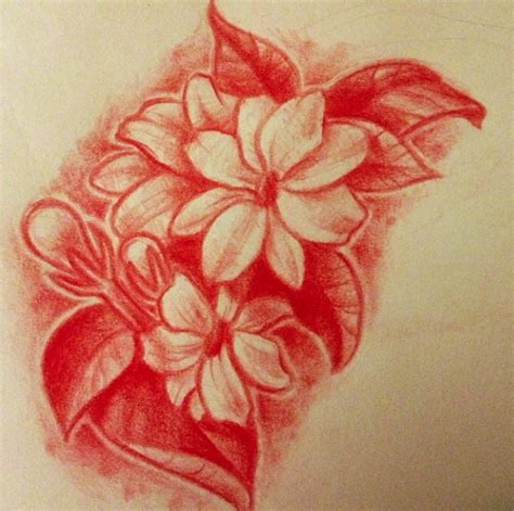 Sampaguita Drawing at GetDrawings | Free download