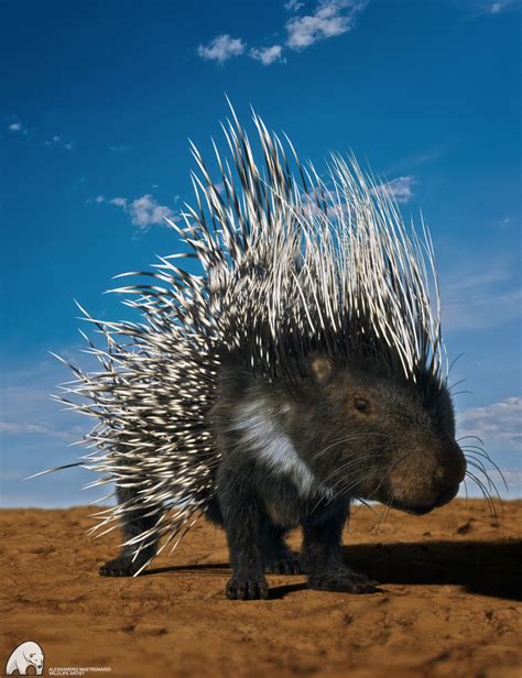 Rodents by AM: Crested Porcupine | Daz 3D