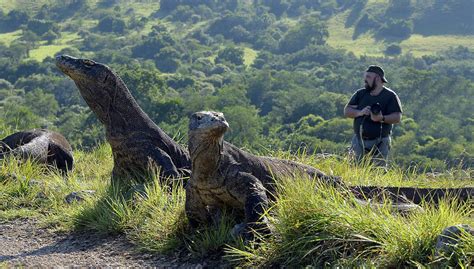 These Huge Animals Are the Biggest of Their Kind