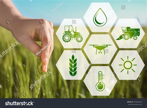 PowerPoint Template: closeup concept of smart agriculture (ohhuhmklh)