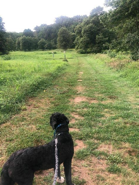 Fox Meadow Trail - Maryland | AllTrails