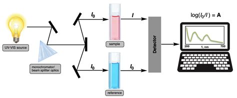 Beer's Law - Analytical Chemistry Video | Clutch Prep