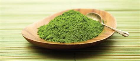 5 Green Tea Extract Side Effects You Should Keep in Mind