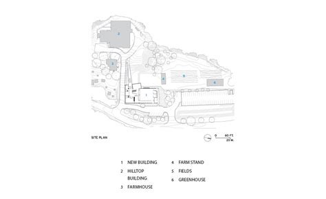 Common Ground High School by Gray Organschi Architecture | 2017-01-01 | Architectural Record