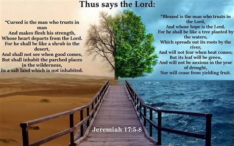 Pin by kevin crotzer on traditional catholic | Jeremiah 17 5, Trees to plant, Truth or consequences