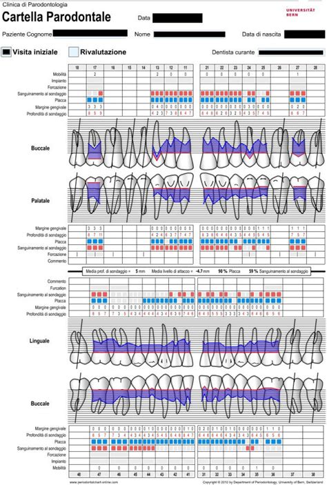 Periodontal Charting Template