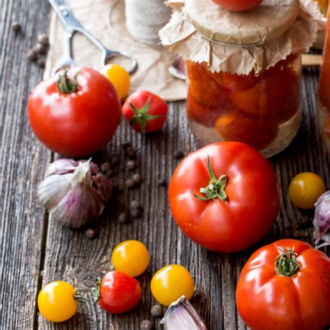 Canning Versus Freezing: Easiest Ways to Preserve Tomatoes Rural Mom