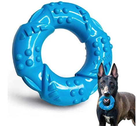 Best Fetch Toys for Dogs