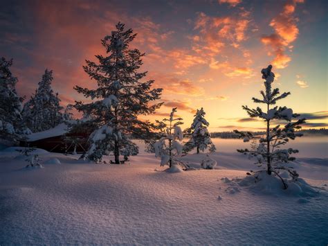 nature, sunlight, cold, trees, snow, winter, sky, Norway, HD Wallpaper ...