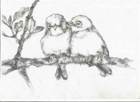 Love Birds Sketch at PaintingValley.com | Explore collection of Love ...