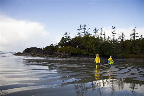 Tofino Campgrounds and Tofino Camping Information | Vancouver Island