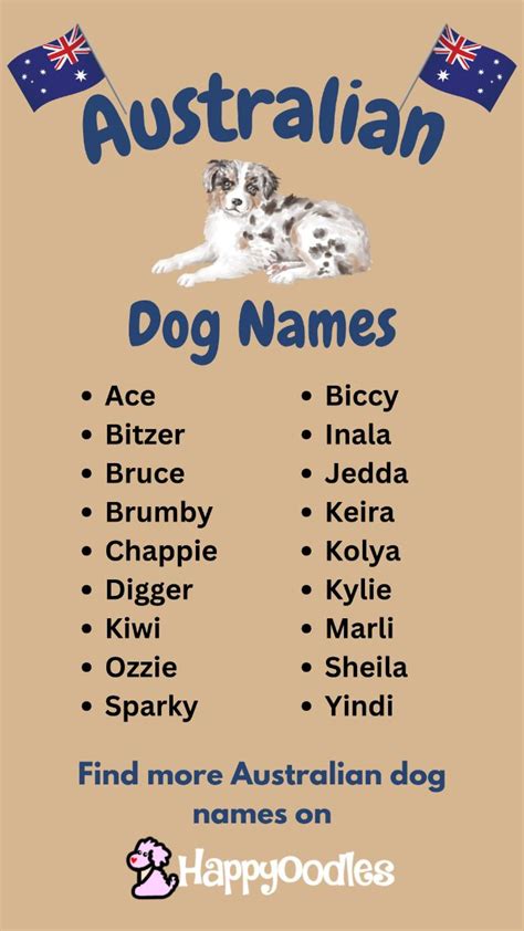 260+ Australian Dog Names: Best Aussie Names for 2024 - in 2024 ...