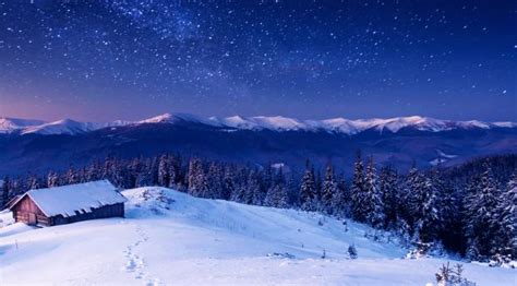 3840x2160 Resolution star, forest, night 4K Wallpaper - Wallpapers Den