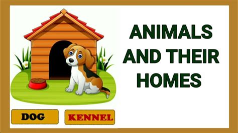 Animals and their homes | Animals home | Home of animals | Animal homes ...