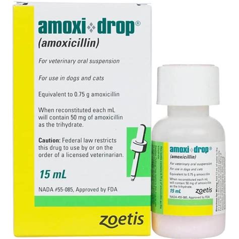 Amoxi-Drop (Amoxicillin) Oral Suspension for Dogs & Cats | 1Family 1Health Pharmacy