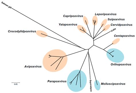 Viruses | Free Full-Text | The French Armed Forces Virology Unit: A Chronological Record of ...