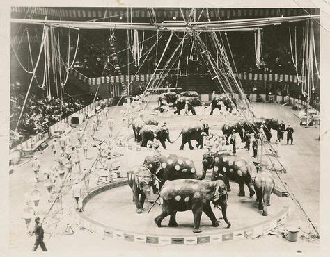 49 Best Barnum & Bailey circus images | Vintage circus, Old circus, Barnum bailey circus