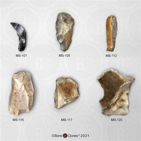 Set of 6 Neanderthal Mousterian Industry Tools - Bone Clones, Inc ...