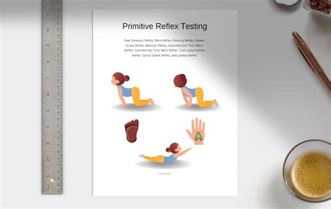 Primitive Reflex Testing Pages – Archetype Health