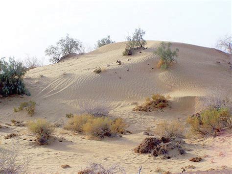 Deserts Of Pakistan - InfopediaPk - All Facts in One Site!