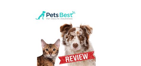 Pets Best Reviews [2017 Vet-Verified UPDATE]: See Cost & Coverage