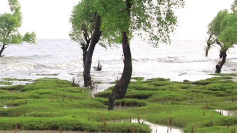 Top 15 Sea Beaches in Bangladesh You Shouldn't Miss