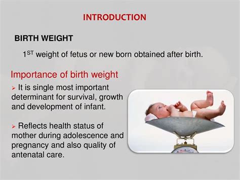 Low Birth Weight Complications at Jeff Perez blog