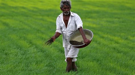 India Needs a Second Green Revolution | Council on Foreign Relations