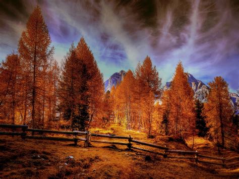 Alpine Mountains Autumn Forest Trees, HD Nature, 4k Wallpapers, Images ...