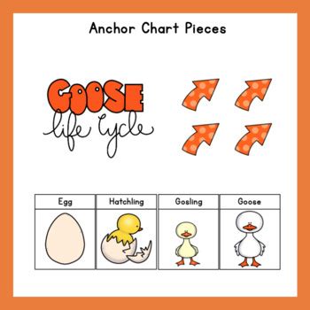 Goose Life Cycle by The Organized Preschool Teacher | TpT