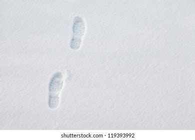 58,227 Footprints In Snow Images, Stock Photos & Vectors | Shutterstock