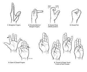 Tendon Glide Exercises | Hand therapy, Occupational therapy, Hand therapy exercises