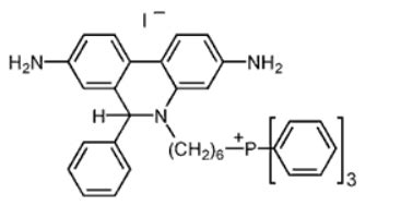 MitoSOX Red (Mitochondrial Superoxide Indicator) | CAS 1003197-00-9 ...