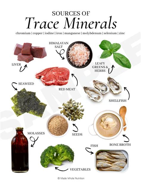 Sources of Trace Minerals Handout — Functional Health Research ...