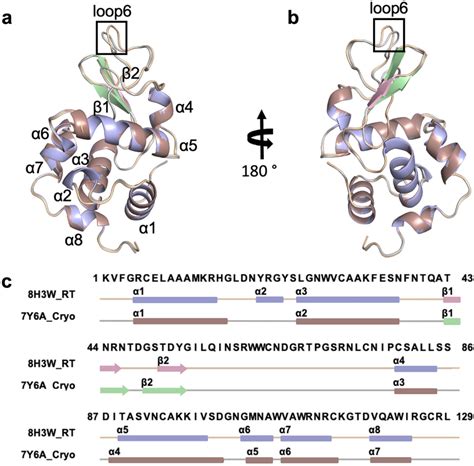 Secondary structure representation of chicken egg lysozymes. (a,b) The... | Download Scientific ...