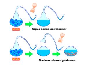 The Theory of Biogenesis | Spallanzani’s and Pasteur’s Experiment