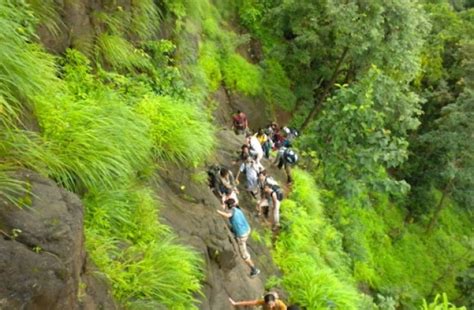 Bhimashankar Trek, pune, India - Top Attractions, Things to Do & Activities in Bhimashankar Trek