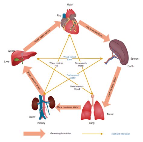 Science Diagram - Types, Examples and Tips | EdrawMax Online